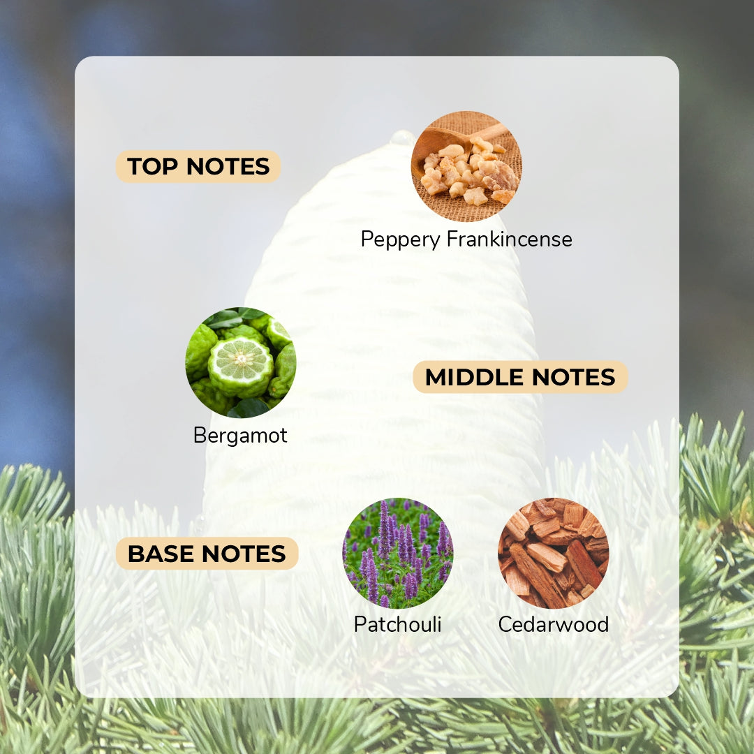 Perfumes – Moody Store