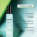 Perfume Gift Set of 4 for Men