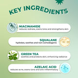 Free AcneXpert Oil Free Moisturizer With Niacinamide & Green Tea